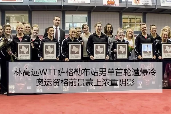 lin-gao-yuan-sa-ge-lei-bu-zhan-nan-dan-shou-lun-zao-bao-leng-ao-yun-zi-ge-qian-jing-meng-shang-nong-zhong-yin-ying-1-691.jpg